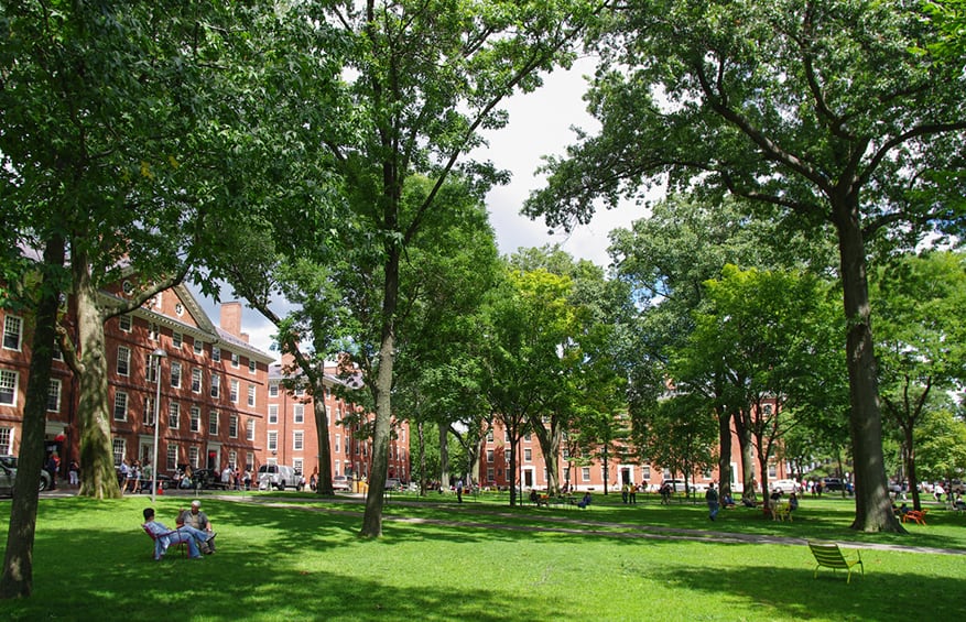 A grassy stretch between some of the buildings on the historic Harvard University campus.
