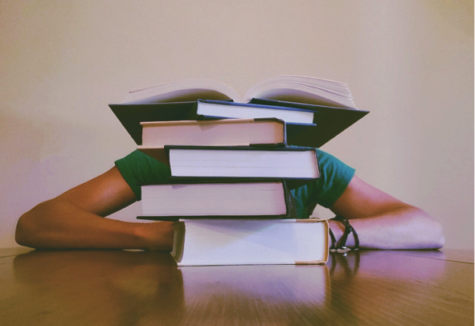 A student hidden behind a stack of AP and IB textbooks.