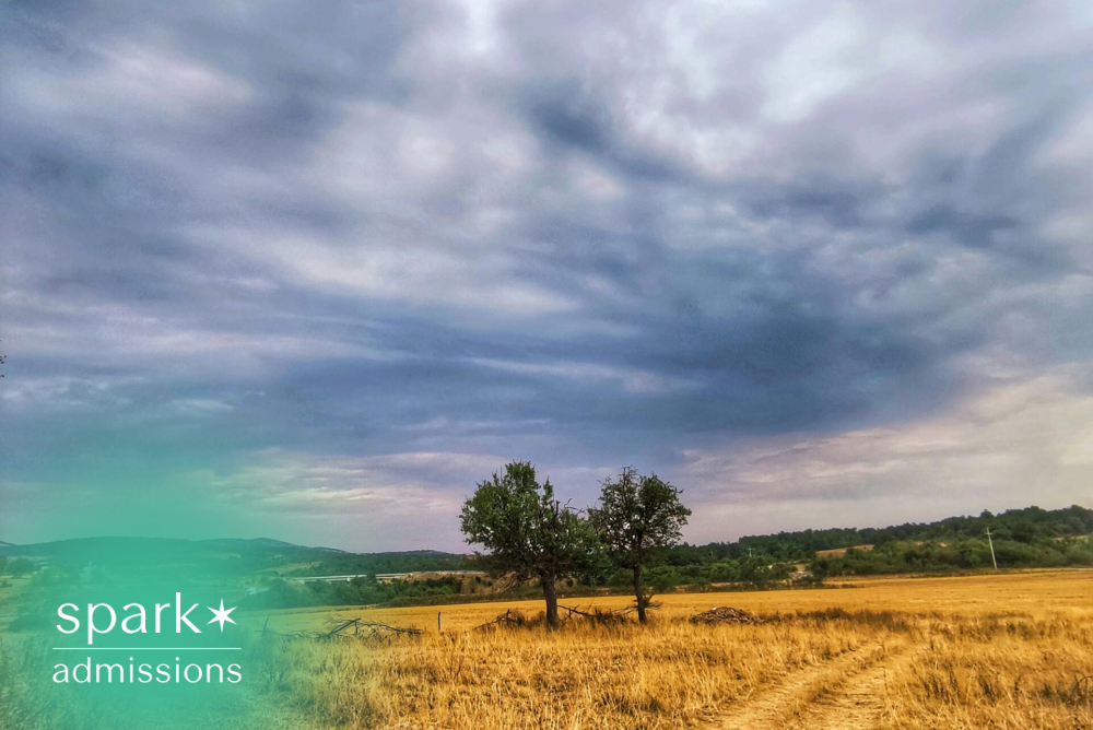 Country path splitting through a dry field beneath dramatic storm clouds and distant trees.