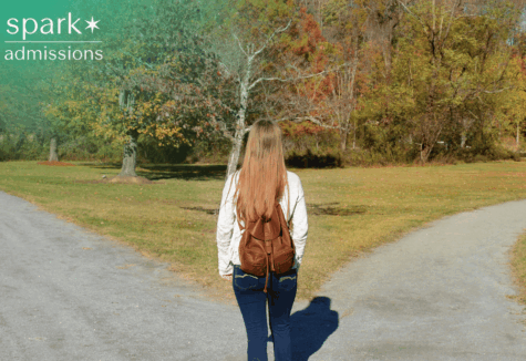 Student standing at two paths deciding ED1 vs ED2