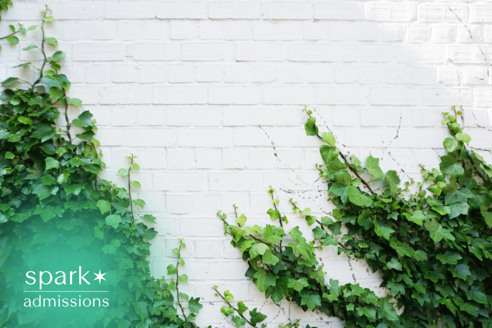 Green ivy growing on a white brick wall