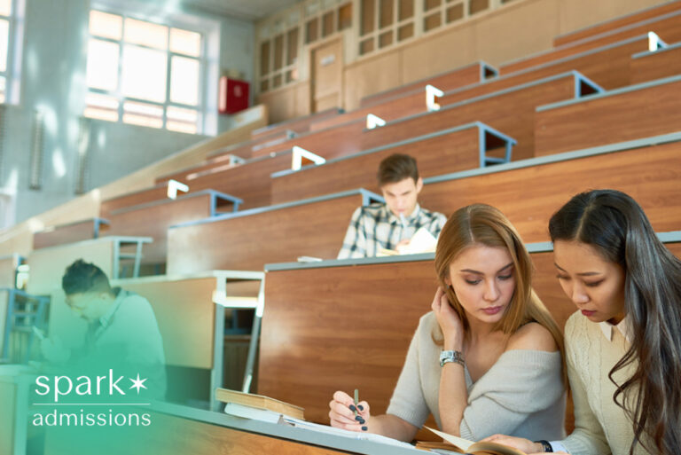 Students studying together in a university lecture hall